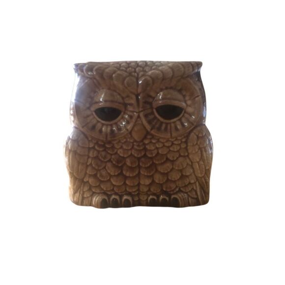 Brown Ceramic Owl Napkin Holder for Kitchen - Picture 2 of 6